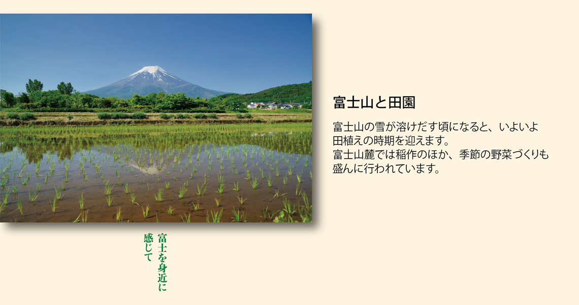 富士山と田園